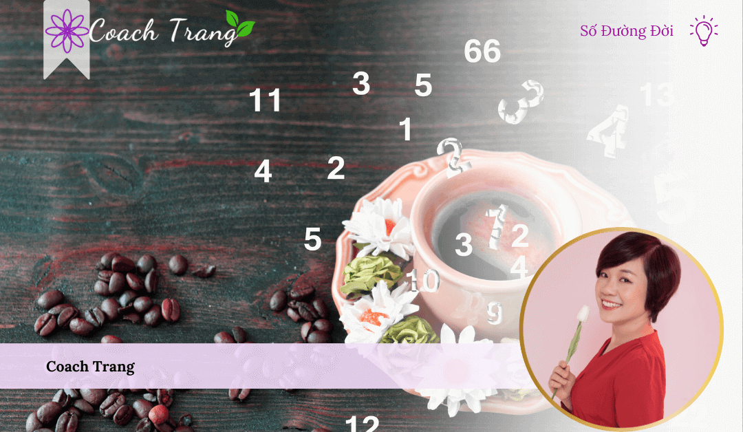 số đường đời