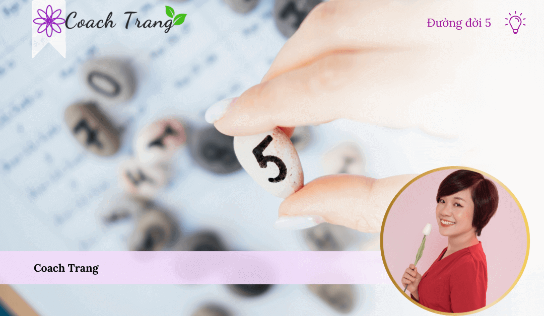 Số Chủ đạo 5, đường đời 5