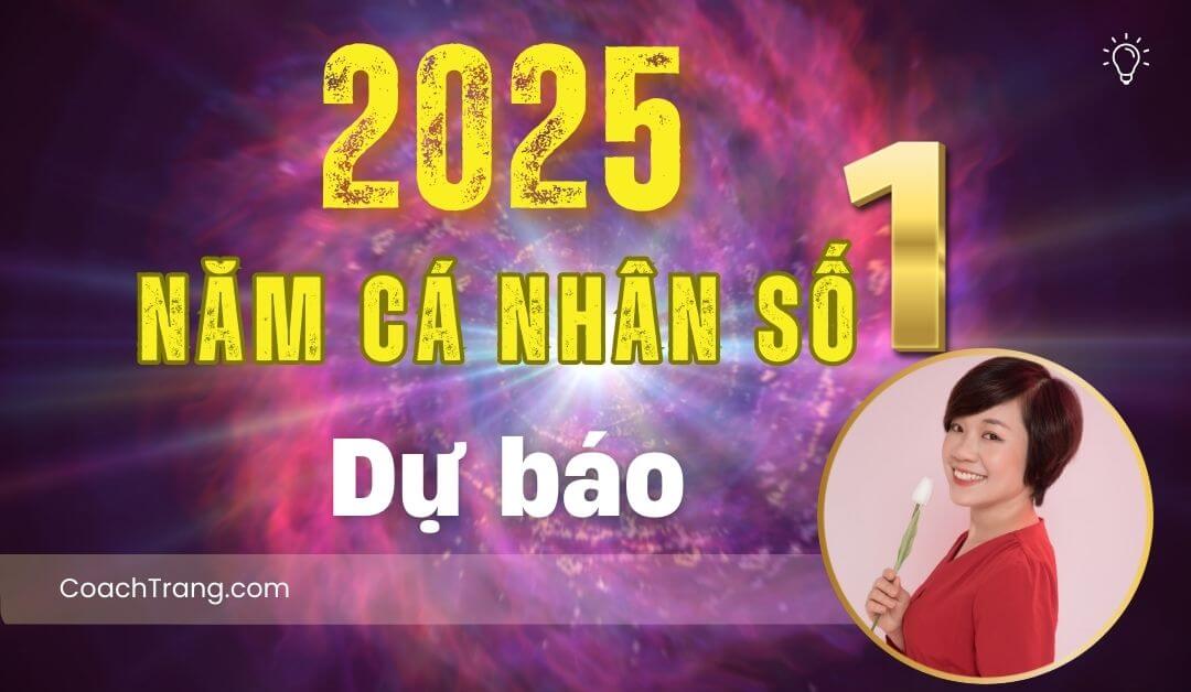 năm cá nhân số 1 năm 2025